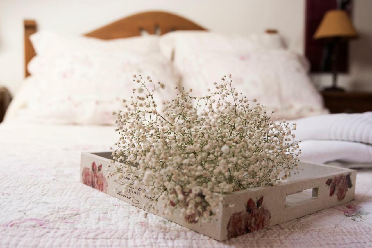 Apartamento 2 4/6 Pax Casa Rural El Sauce. A 2,5 Km De Cuenca Capital Nohales Екстер'єр фото